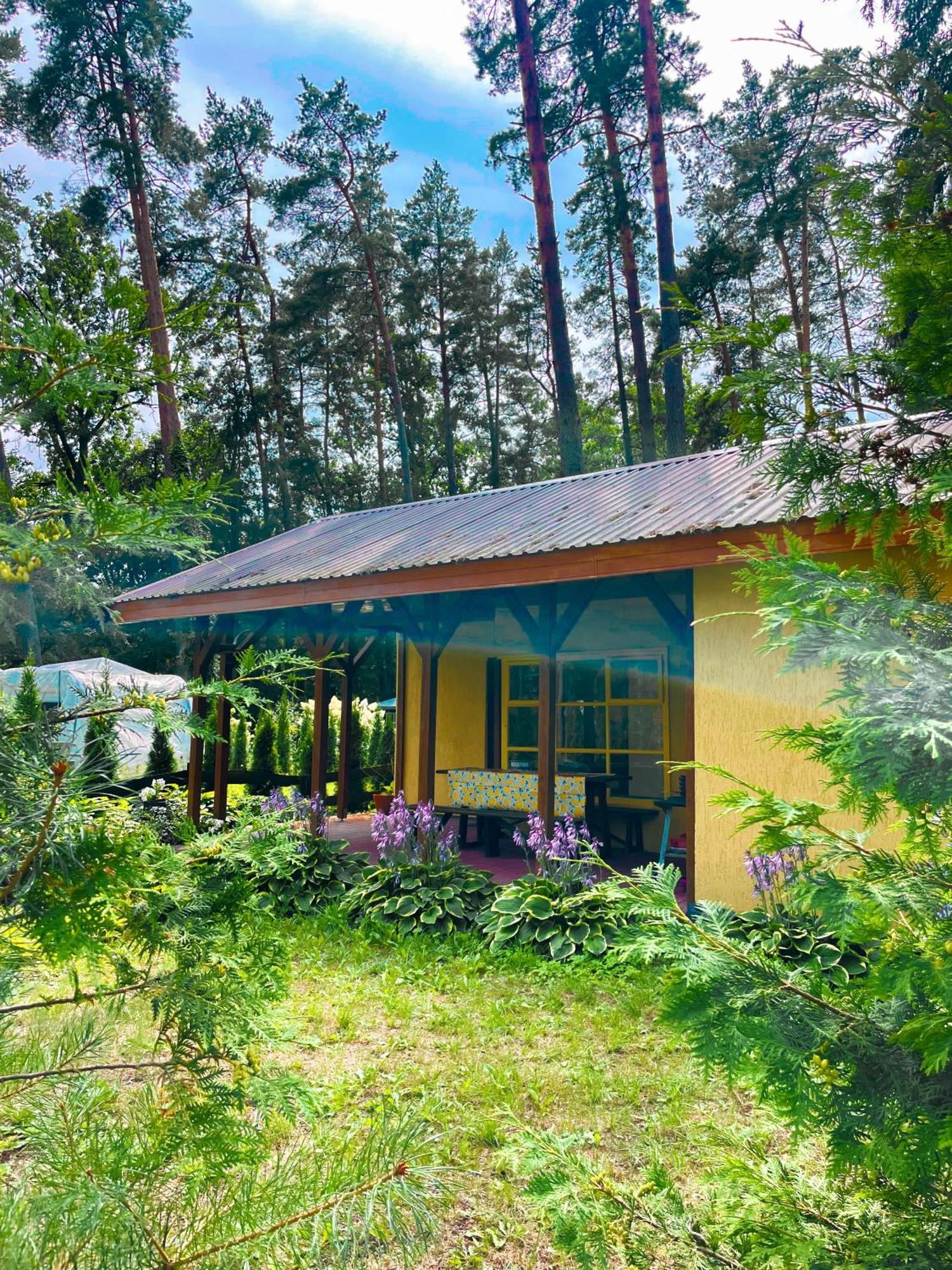 Lesna Chatka Klebowo Extérieur photo